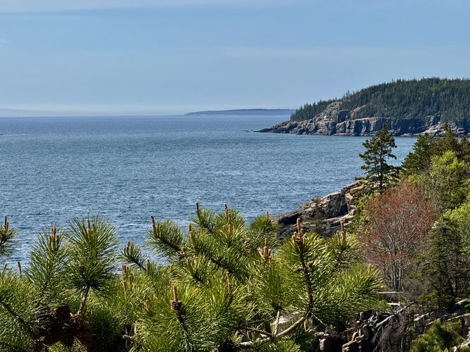 More views of the Atlantic Ocean and the Otter Cliffs