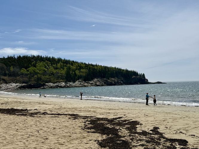 Visitors walk along Sand Beach taking in the views