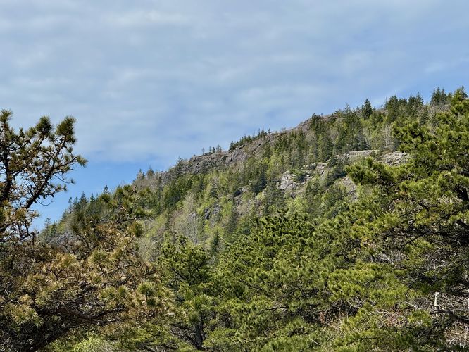 Can you spot the hikers on Gorham Mountain?