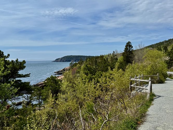 Ocean Path with views of Otter Cliffs in the distance