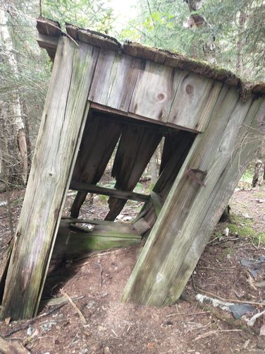 The abandoned outhouse has not disappeared yet.