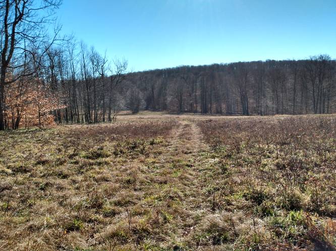 Vista Field Near Trail (Private Land)