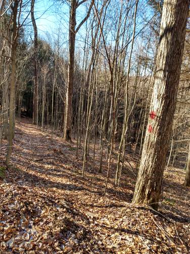 Red Dots Trail Markers