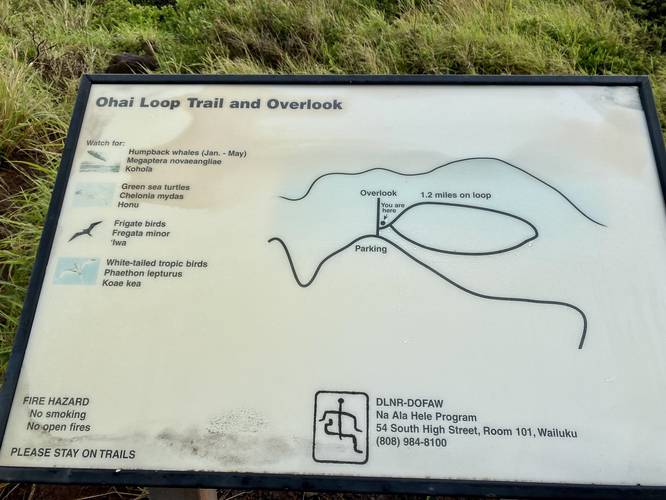 Picture 45 of Ohai Trail Feb 16 2023