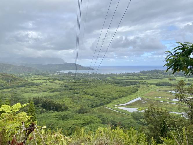 View of Hanalei Bay from the bench at the powerline vista