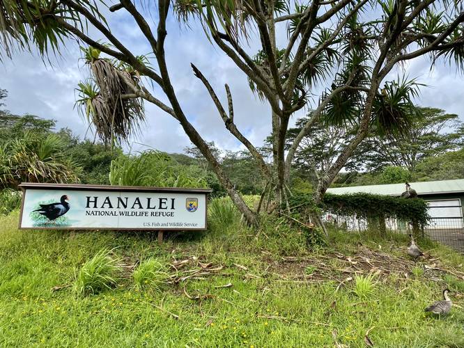 Hanalei National Wildlife Refuge entrance sign