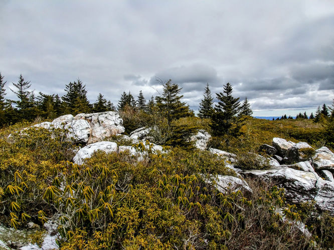 Picture 4 of Old Butt Knob and Shining Creek Loop 012118