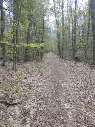 Old Railroad bed opens back out to wide and more maintained