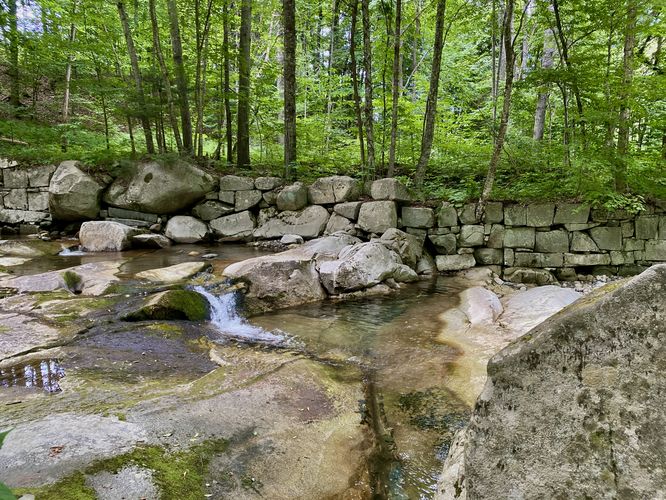 Tiny cascades at Jelly Mill Falls