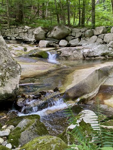 Tiny cascades at Jelly Mill Falls