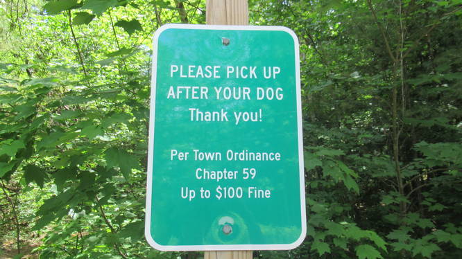 Pick up after your dog or face a fine