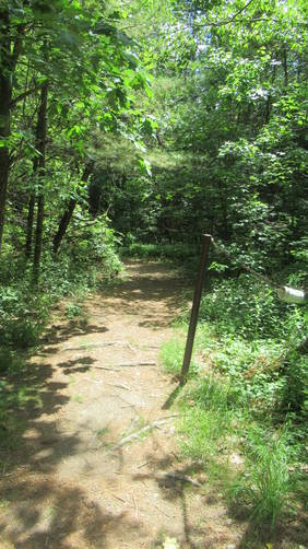 Entrance to the trail