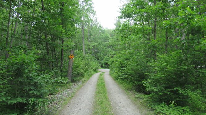 Be careful as some parts of the trail are used by homeowners whose property abutts the rail trail