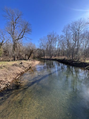 Wilson Creek