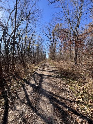 Picture 7 of Old wire road