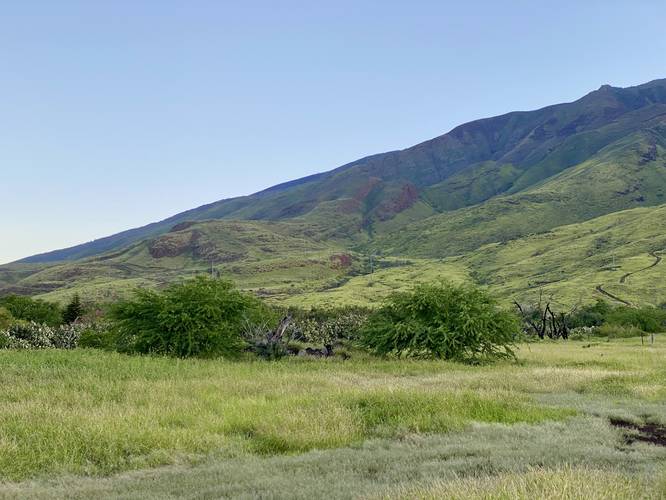 View of the West Maui Mountains from the trail