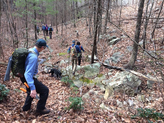 Default image for Onemile Run Hike, a 7.4-mile trail in Simmons Gap, VA (US)