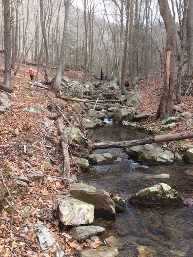 Picture 3 of Onemile Run Hike 012718