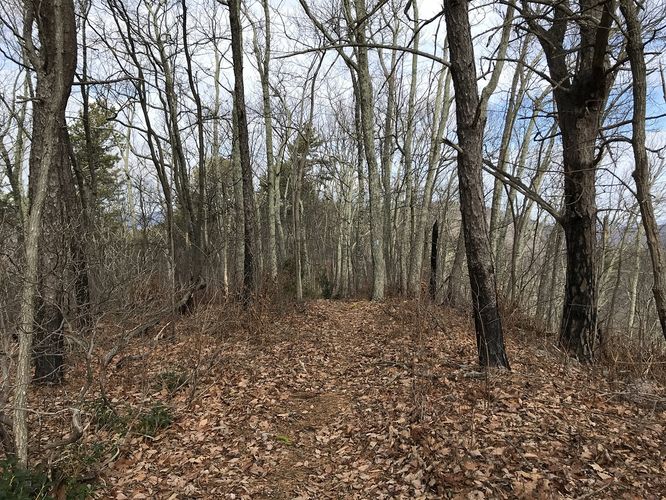 Picture 6 of Onemile Run Hike 012718