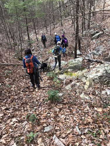 Picture 7 of Onemile Run Hike 012718