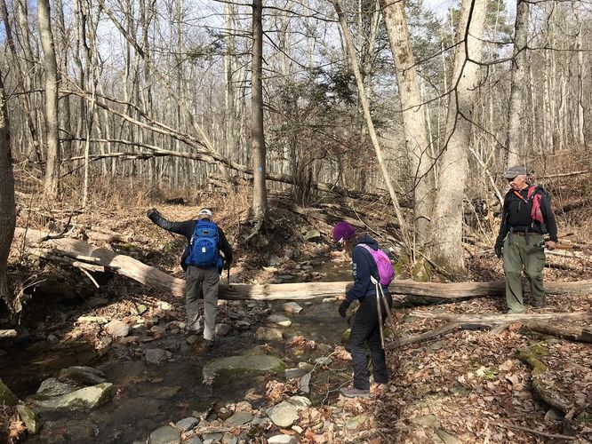 Picture 8 of Onemile Run Hike 012718