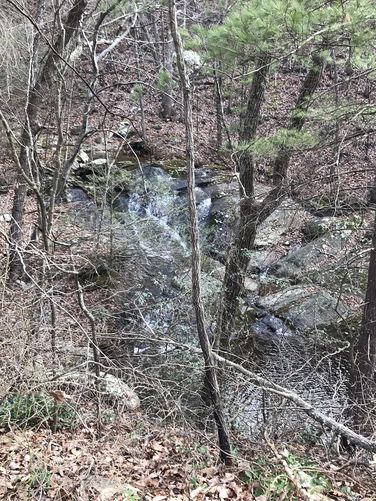 Picture 14 of Onemile Run Hike 012718