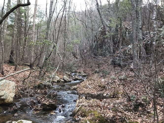 Picture 17 of Onemile Run Hike 012718
