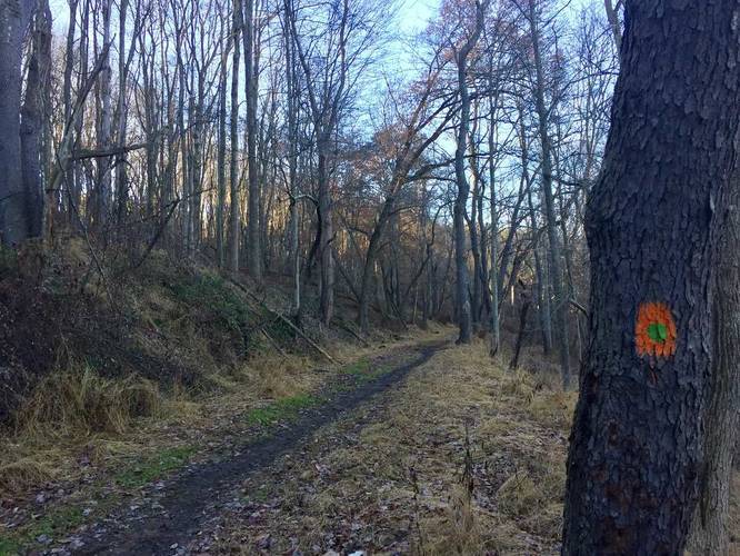 Orange & Green Dot Trail