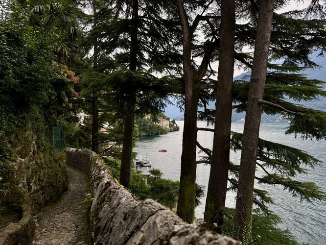 In the evergreens high above Lake Como