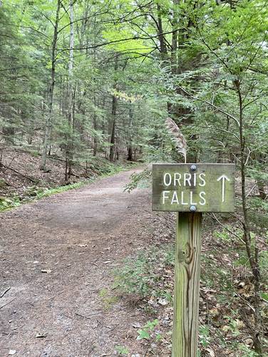 Orris Falls sign along the Orris Falls Trail