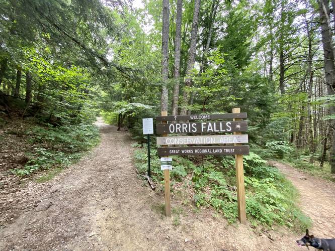 Orris Falls Conservation Area sign - split in trail, stay left