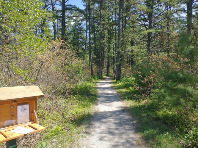 Accessible Trailhead 