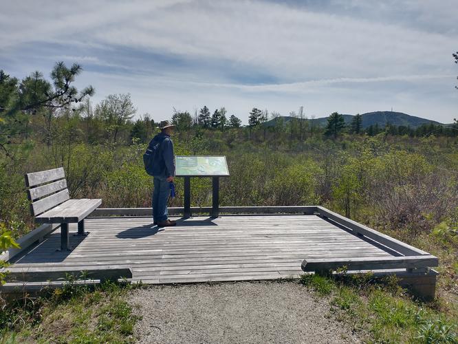 Default image for Ossipee Pine Barrens Preserve Loop, a 1.6-mile trail in Madison, New Hampshire (US)