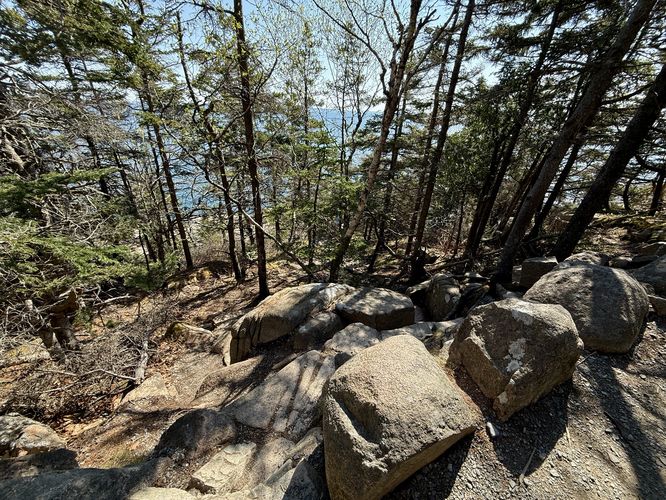 Turn to the Otter Cliffs