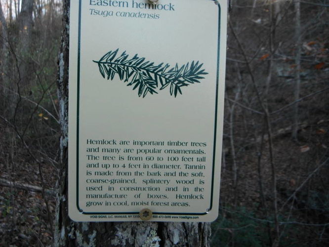 Picture 23 of Otter Creek Hike 112115