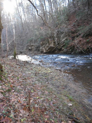 Picture 20 of Otter Creek Hike 112115