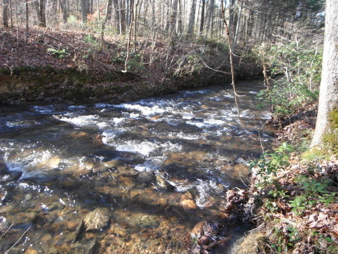 Picture 17 of Otter Creek Hike 112115
