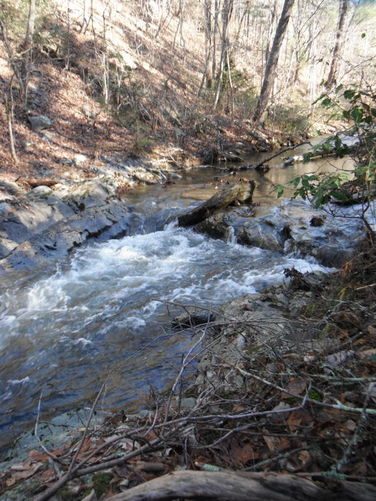 Picture 16 of Otter Creek Hike 112115