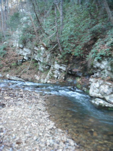 Picture 15 of Otter Creek Hike 112115