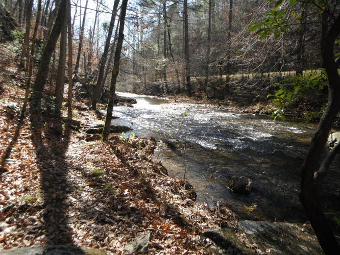 Picture 14 of Otter Creek Hike 112115