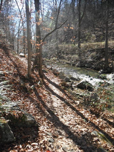 Picture 13 of Otter Creek Hike 112115