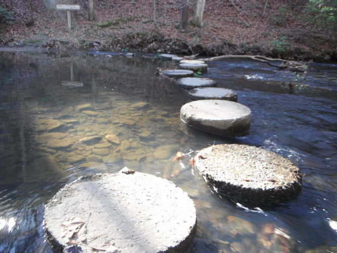 Picture 11 of Otter Creek Hike 112115
