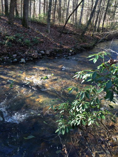 Picture 9 of Otter Creek Hike 112115