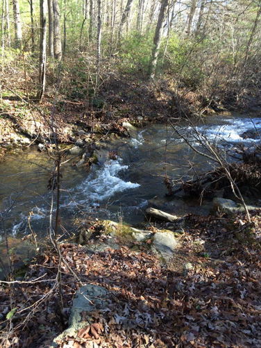 Picture 8 of Otter Creek Hike 112115