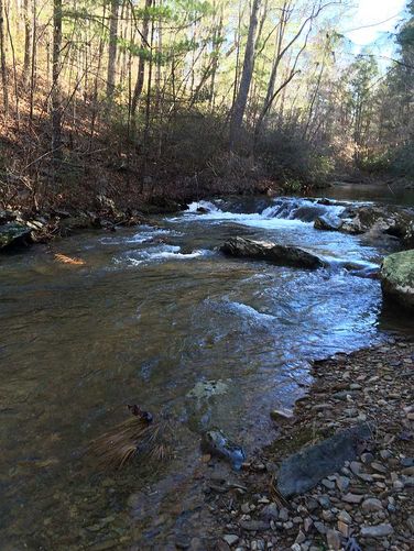 Picture 2 of Otter Creek Hike 112115