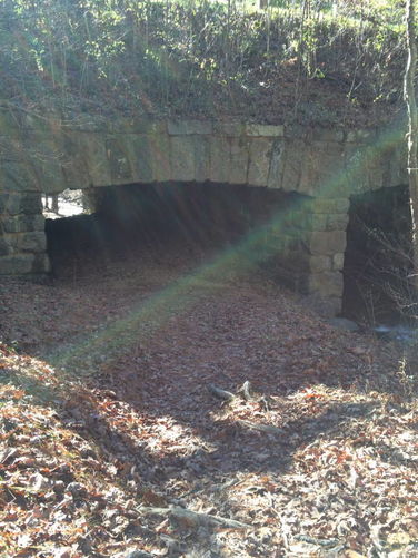 Picture 7 of Otter Creek Hike 112115