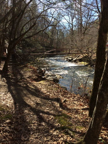 Picture 6 of Otter Creek Hike 112115