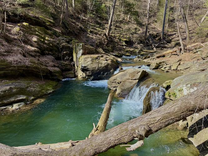 Otter Creek Preserve Loop - Otter Creek Preserve and Urey Overlook Hike album