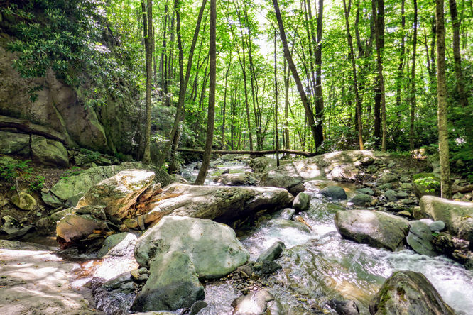 Picture 8 of Otter Falls Hike 060918
