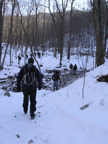 Picture 4 of Overall Run and Beecher Ridge Hike 011009